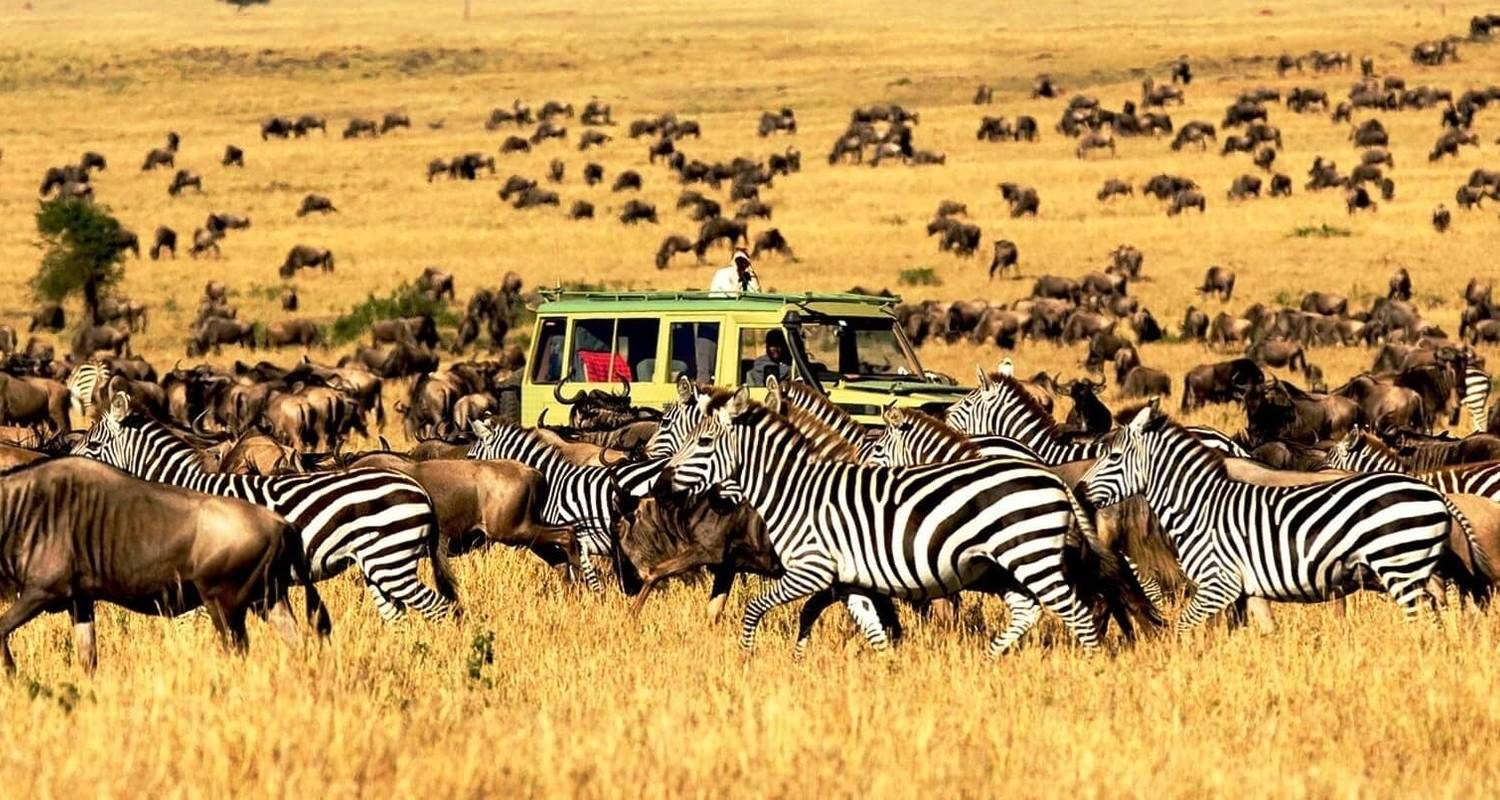 Discover Kenya: Top Tourist Attractions and Adventures with Kito Afrika