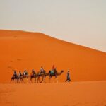 A group of young adults riding camels in a line across the golden dunes of the Sahara Desert, using an expert Morocco travel guide to plan their bucket-list adventure.