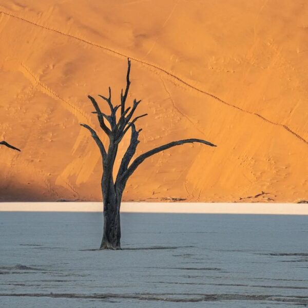 Passport to Namibia