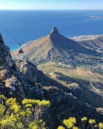 Explore South Africa - Image 4