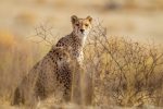 Summer Escape to East Africa - Image 3