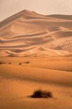 Introducing Morocco - Image 7