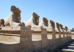 Egypt Bound - Image 5