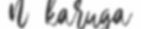 signature signature